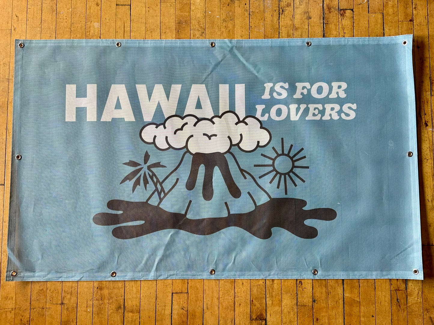 HAWAII Festival Banner
